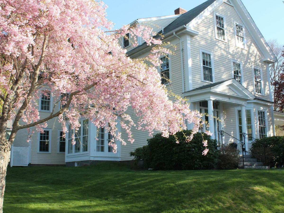 The Beech Tree B&B Rockport Esterno foto